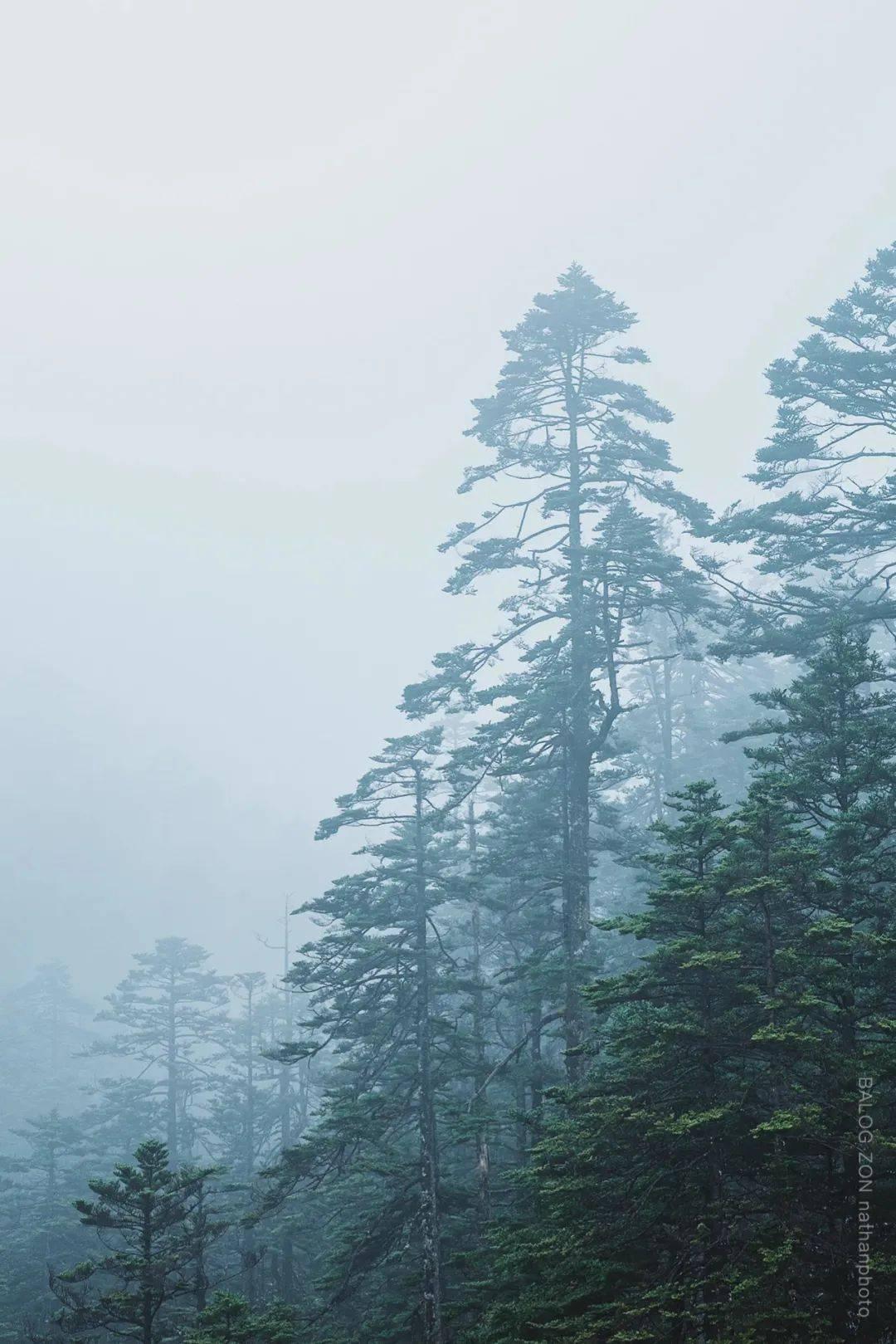快速扣篮