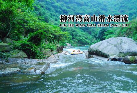 怎么挑选海参质量好坏