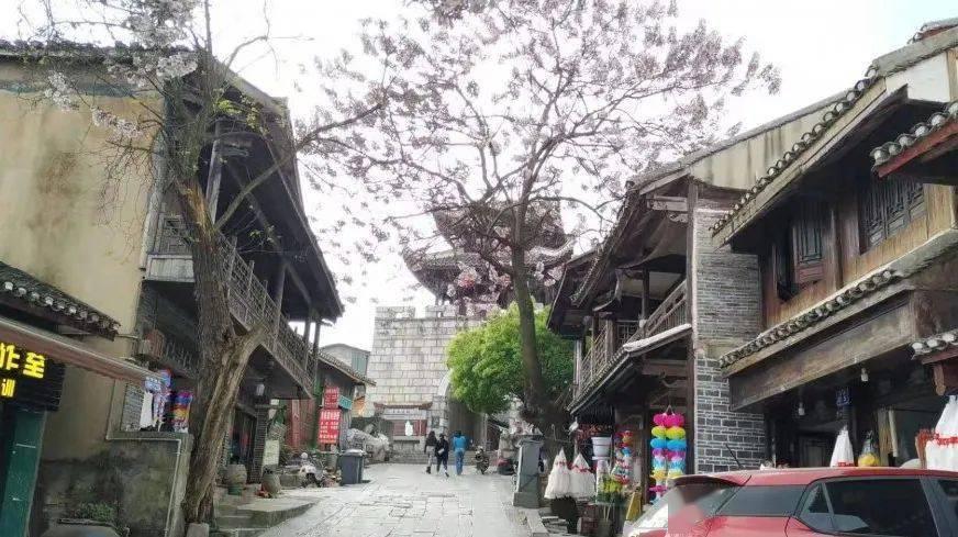 蜡笔小新大逃杀